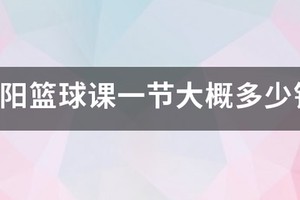 专业训练篮球大概价格